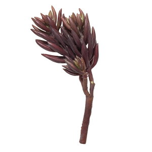  TbJe iO[bhj S18cm A ϗtA VNt[ A[eBtBVt[ [t A[gO[ yA[gt[z