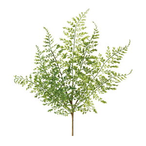  pZt@[ubV iO[j S25cm A[gO[ Ǌ| ϗtA O VNt[ A[eBtBVt[ [t yA[gt[z