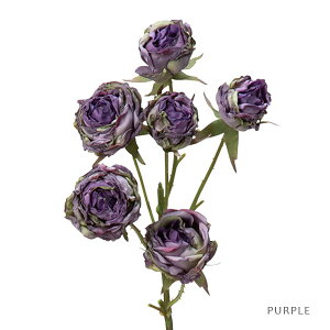  hC [Y Xv[ (o[KfB / p[vj S54cm o KN  ԑ CeA fBXvC