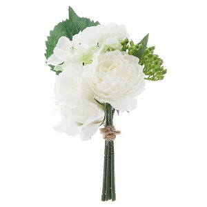  T}[ J[ u[P (zCgj S20cm  ԑ t[AW ͂Ȃ sv p CeA fBXvC X  Be  uC_ EFJXy[X