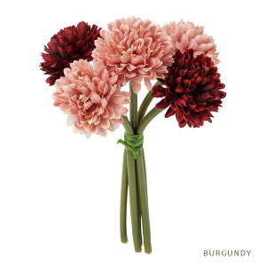  {[} o` 5{Zbg (zCg / o[KfBj S23cm  ԑ CeA fBXvC