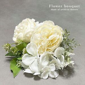  iLX u[P (zCgj S22cm t[u[P ԑ t[AW ͂Ȃ sv p CeA fBXvC X  Be  uC_ EFJ