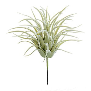  `WA M iCgO[j S12cm ϗtA VNt[ A[eBtBVt[ [t A[gO[ yA[gt[z