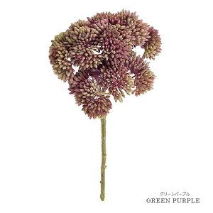 ���� �I�����_ �Z�_�� �i�O���[���p�[�v���j �S��20cm �ϗt�A�� �V���N�t�����[ �A�[�e�B�t�B�V�����t�����[ ���[�t �A�[�g�O���[�� �y�A�[�g�t�����[�z