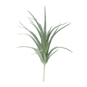  `WA S iO[j S18cm ϗtA VNt[ A[eBtBVt[ [t A[gO[ yA[gt[z