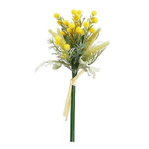  ~U ~bNX oh iCG[j S26cm t[AW ͂Ȃ sv p CeA fBXvC X  Be  uC_ EFJXy[X y[