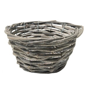 oXPbg u V[g 16cm i`  [ Vr[ AeB[N VRf  Ԋ CeAG fBXvC AWg