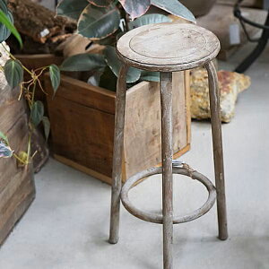 t[X^h iLTCYj H48.5cm ԑ AeB[N ACA Be[W Aؔ ԑ K[fjO | fBXvC CeA Vv t` [X^h