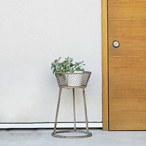 t[X^h iSTCYj H40.5cm ԑ AeB[N bVoXPbg ACA Be[W Aؔ ԑ K[fjO | fBXvC CeA Vv t` [X^