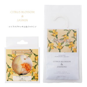 ̃MtgZbg wbNXTVF  [h[uTVF BLOOM BLOOMx iS4ށjbsO  bZ[WJ[ht e  FB v[g  A} y a j 