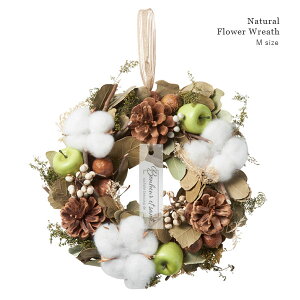 Natural hCt[[X iRbgt[ / MTCYja23cm VRf H ~ i`[X  fBXvC hA Ǌ|  y NX}X NX}X[X X'mas zy