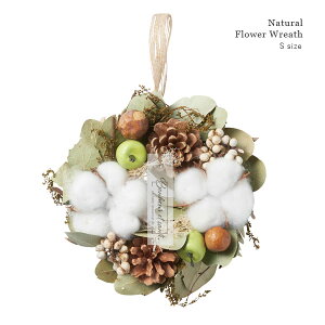 Natural hCt[[X iRbgt[ / STCYja17cm VRf H ~ i`[X  fBXvC hA Ǌ|  y NX}X NX}X[X X'mas zy