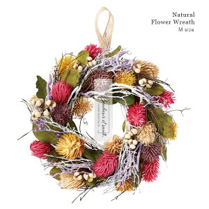 Natural hCt[[X iLfBJ[ / MTCYja23cm VRf t i`[X  fBXvC hA Ǌ| ԁy a v[g Mtg NX}X NX}X