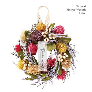 Natural hCt[[X iLfBJ[ / STCYja17cm VRf t i`[X  fBXvC hA Ǌ|  y a v[g Mtg NX}X NX}X