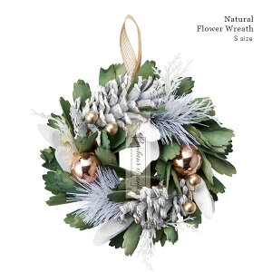 Natural t[[X izCgO[ / STCYja18cm VRf H ~ i`[X  fBXvC hA Ǌ|  y NX}X NX}X[X X'mas zyz