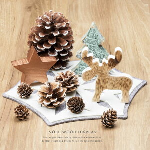 NOEL WOOD i`Ebh fBXvC 3PZbg iX^[Ec[EgiJCj CeA IuWF u y[։220~zyNX}Xz