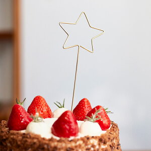 BRASS gbp[ ij P[Lgbp[ P[LsbN  L21cm ^J STAR X^[ tHgvbvX fR[V NCP[L LOBe uĂy߂BRASS̃gbp[vy[։220