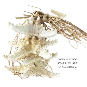 OCEAN DECO X^[tBbV Zbg STARFISH fBXvC VF qgf Lk p[c DIY CeA