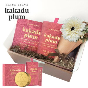 MAINE BEACH MtgZbg w {fB[Xbvo[ xJJhDv GIFT BOX  t[u[P  J[ht RtZbgy {fBN[ bvN[ a  FB v