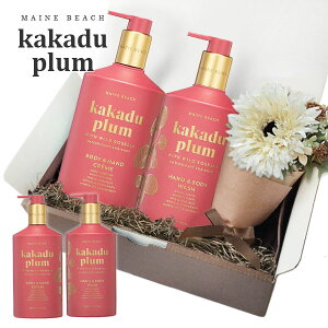 MAINE BEACH MtgZbg w nhE{fBEHbV  {fBN[ xJJhDv GIFT BOX  t[u[P  J[ht RtZbgy {fBN[ Lbh\[v a 