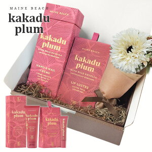 MAINE BEACH MtgZbg w nhElCN[bvo[ xJJhDv GIFT BOX  t[u[P  J[ht RtZbgy nhN[ bvN[ a  