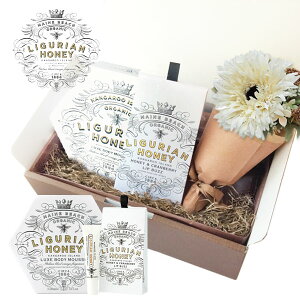 y5/1̂P5{z MAINE BEACH MtgZbg w{fB[Xbvo[x GIFT BOX  t[u[P  J[ht OAnj[ RtZbg y {fBN[ a v[g  