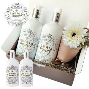 MAINE BEACH MtgZbg wnhE{fBEHbV{fBN[x t[u[PGIFT BOXbZ[WJ[ht nh\[v OAnj[ y a nhN[  F