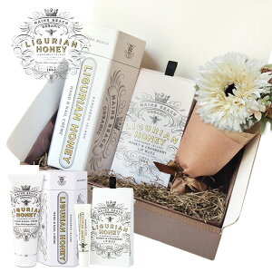 MAINE BEACH MtgZbg w nhElCN[bvo[ x GIFT BOX  t[u[P  J[ht OAnj[ RtZbgy nhN[ a  FB v[