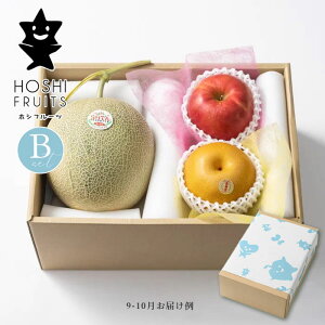 ホシフルーツ おまかせ旬のフルーツBOX (Bセット) 果物 詰め合わせ ギフトセット 産地直送 【内祝い 出産内祝い 出産祝い 結婚内祝い お返し 御礼 挨拶 贈答品】【フルーツ専門店の本日の
