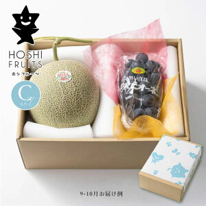 ホシフルーツ おまかせ旬のフルーツBOX (Cセット) 果物 詰め合わせ ギフトセット 産地直送 【内祝い 出産内祝い 出産祝い 結婚内祝い お返し 御礼 挨拶 贈答品】【フルーツ専門店の本日の