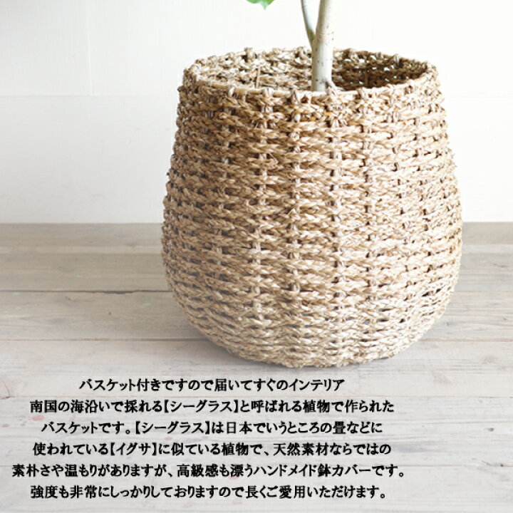 楽天市場 鉢カバー 10号 10号鉢がすっぽり 手編みバスケット 送料無料 大鉢用 １０号鉢用 インテリアカバー 手作り ハンドメイド 観葉植物 おしゃれ インテリア 観葉植物のthe Green