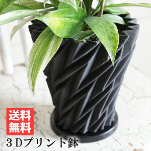 3D ^ 픫  3Dv^[ a15cm 3Dvg