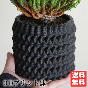 3D 픫  V_[^ 3Dv^[ a11cm 3Dvg