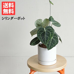 AXE NlrE V_[|bgA zCg  ϗtA AX[  ^  K[f DIY  ϗtA CeA