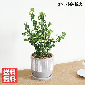 ϗtA xW~ obN ZgA cC  A  ^ ^ xW~  K[f DIY  CeA