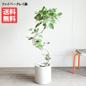 tBJX xKVX V_[^ V_[^ Jo[t N[AC{[ xKS̖  ^ ^ CeA  lC yV ʔ Mtg v[g