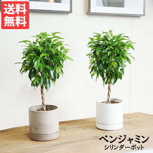 xW~ V_[^ Iׂ锫F  tBJX xW~i ϗtA  ^ tBJX S̖ CeA