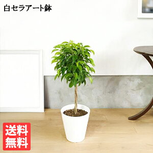 xW~ 6 zCg ZA[g  tBJX xW~i ϗtA  ^ ^ tBJX S̖ CeA