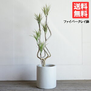 hZi RVl t@Co[NC Jo[t N[  ϗtA  CeA