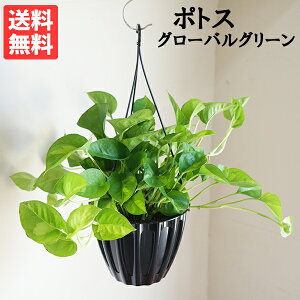 ϗtA  |gX O[oO[ ݂蔫 Vi v ݂邷 ݂ nMO vŊȒP 