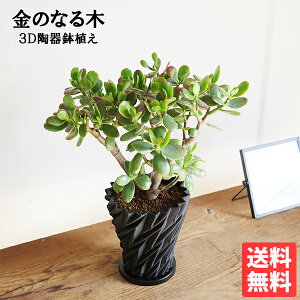 ���̂Ȃ�� 3D���픫�A�� �����A�� �N���b�X���E�|���c���P�A ���^ �� ��������