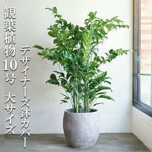 ϗtA ^ @l `hA V̖ TCY̖͗l t@Co[Jo[t REZC`hA 10 CeA  K[f DIY ɋ