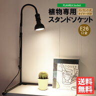 スタンドソケット PLAAREA socket E26 LED電球専用 正規取扱店 ゼンスイ 高さ伸縮可能 タイマー付き 植物…