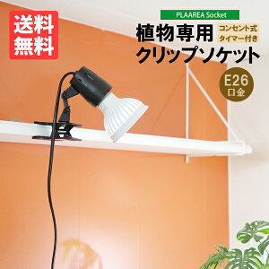 Nbv\Pbg PLAAREA socket E26 LEDdp K戵X [XC px2iK\ ^C}[t Ap  A琬Cg