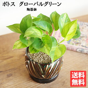 ϗtA  |gX O[oO[ F 픫A ~j  vŊȒP 