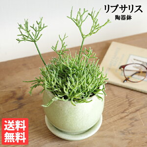 T{e  vTX PEXN  O[픫A TCY ~j   T{e ~j ^ CeA