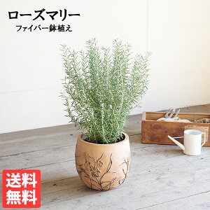 [Y}[ t@Co[ZgA AeB[Nt`  A ϗtA  CeA ^ x_ eX oRj[ n[u ɋ