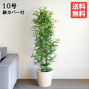 ϗtA ^ VNWX~ QbLc 10 @ll i`Jo[t v~A  ڔ 唫 10 TCY 傫TCY CeA ɋ