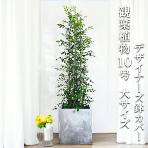 ϗtA ^ VNWX~ QbLc 10 @ll L[u^ fUCi[Y Jo[t AbVO[  ڔ 唫 10 TCY 傫TCY CeA 