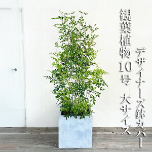 ϗtA ^ V}glR glR 10 L[u^ fUCi[Y Jo[t AbVO[ 10 @ll eX  A  CeA ̔ LO ɋ